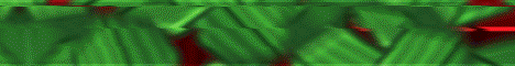 AppleMC banner