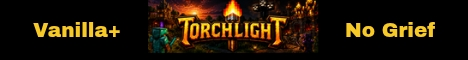 Torchlight banner